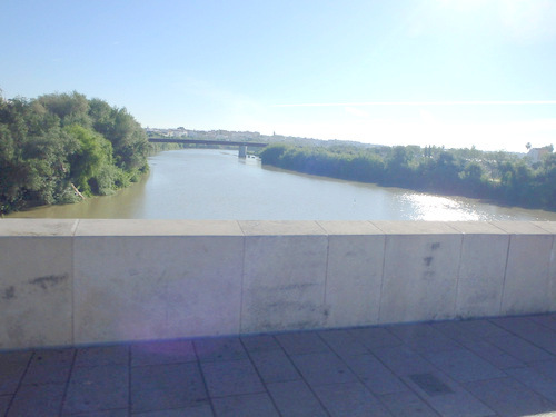 A view up river into the rising sun.